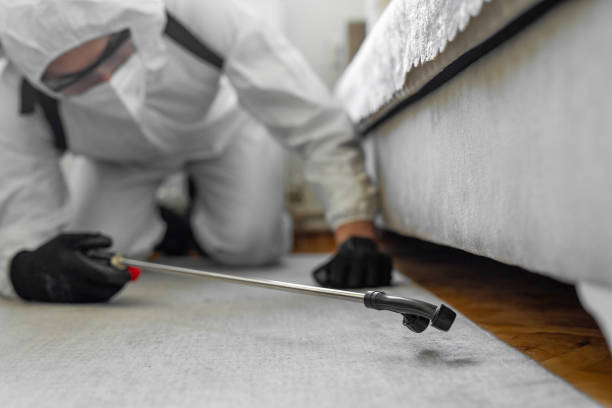 Professional Termite Control technician working in Evergreen, MT