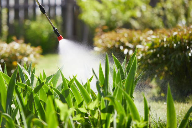 24/7 Emergency Termite Control experts in Evergreen, MT