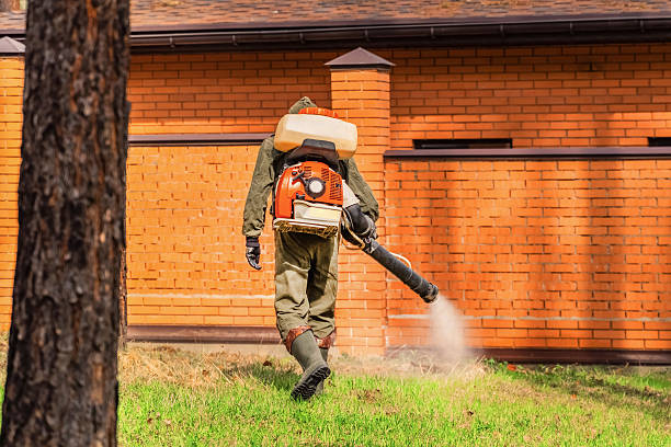 Top rated local Termite Control specialists in Evergreen, MT